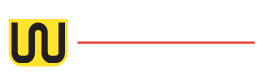 WStandard Logo